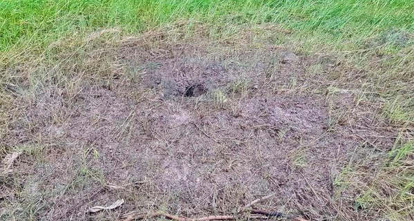 У районі Бучі двоє чоловіків підірвалися на міні, залишеній росіянами