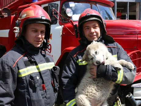 Врятоване при пожежі щеня тепер служить у рятувальній частині Харкова