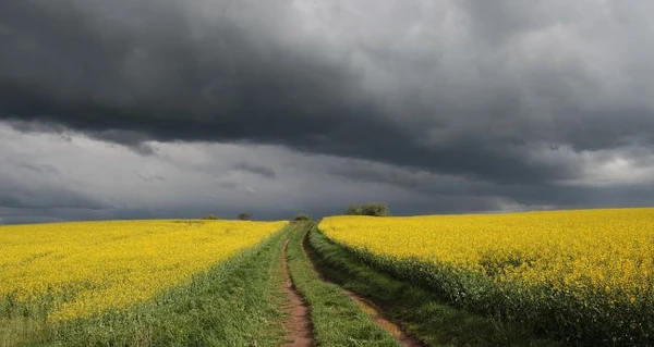 В Україні різко зіпсується погода: де пройдуть грози