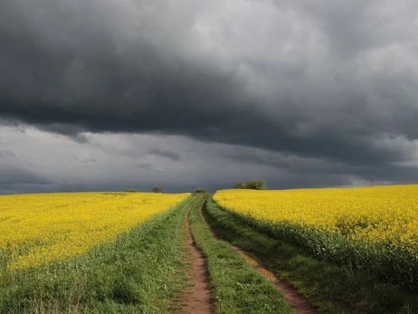 В Украине резко испортится погода: где пройдут грозы
