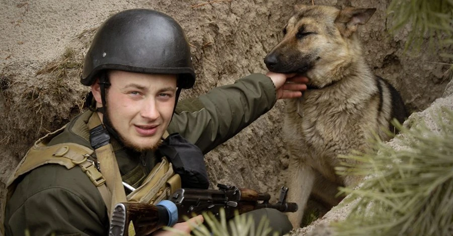 Нацгвардійці знайшли на звільненій Київщині самотню вівчарку. Тепер Фауст служить разом з ними