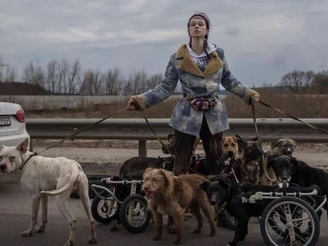 Девушка, которая вывела из Ирпеня десятки собак, продолжает спасать животных