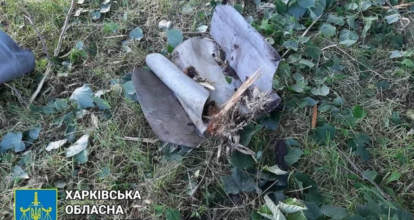 Напад Росії на Україну: За добу прокурори підтвердили гибель ще 25 дітей 