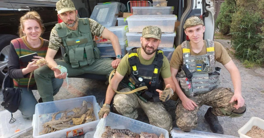 Уникальная эвакуация: военные два дня вывозили из-под обстрелов сотни ящериц