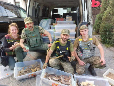 Унікальна евакуація: військові два дні вивозили з-під обстрілу сотні ящірок
