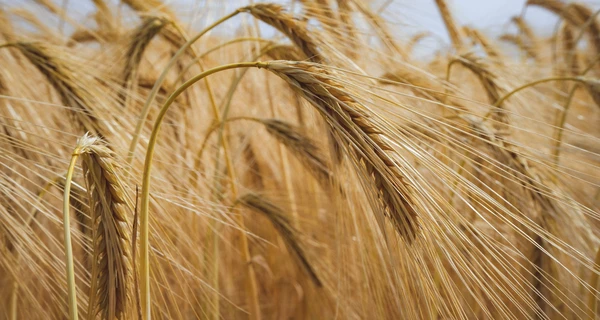 ООН: Cвіту загрожує пекло на землі через війну в Україні