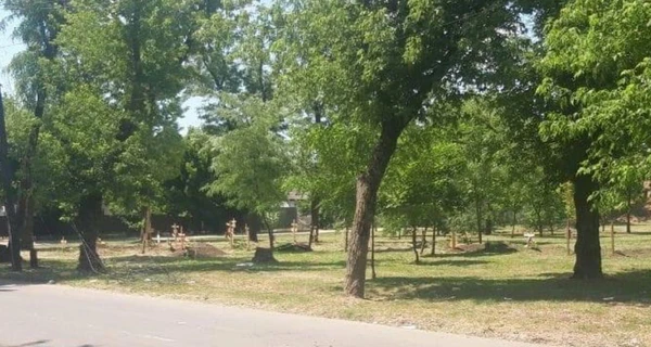 Андрющенко: У Маріуполі хірурги щоденно ампутують до п’яти кінцівок у інсулінозалежних