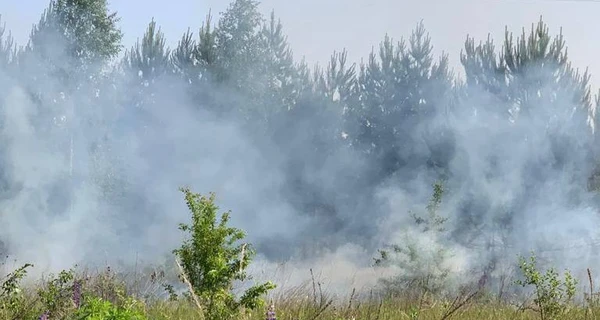 Російські вертольоти завдали ударів по Сумщині зі своєї території