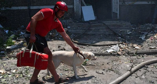 У Миколаєві в обстріляному росіянами житловому будинку врятували собаку