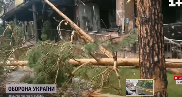 Наслідки буревію: зламані дерева, затоплені вулиці та відсутнє електропостачання 