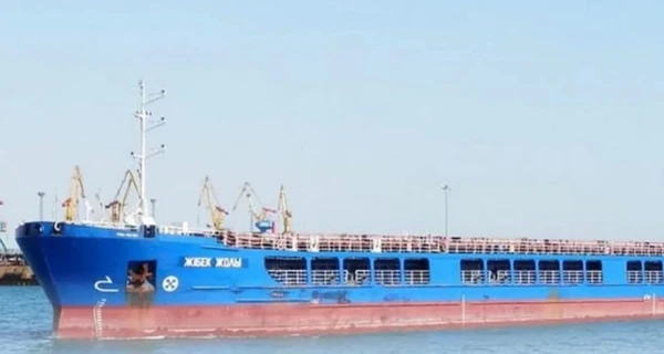 Украина просит Турцию арестовать судно с вывезенным из Бердянска зерном