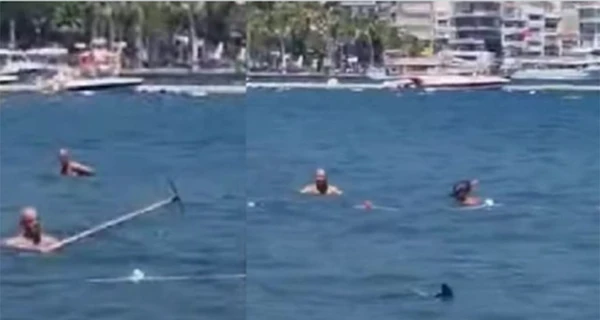 У Туреччині туристи з ціпком напали на саргана: переплутали з акулою