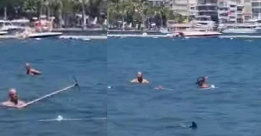 В Турции туристы с палкой напали на саргана: перепутали с акулой