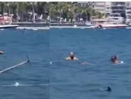 У Туреччині туристи з ціпком напали на саргана: переплутали з акулою