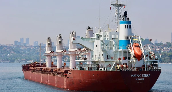 Украина просит Турцию проверить три российских судна с украденным зерном из Херсона