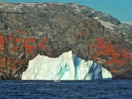 Українські полярники показали скелі Антарктиди, розфарбовані лишайниками