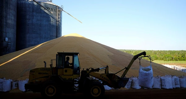 ГУР: Російські окупанти продовжують викрадати українське зерно
