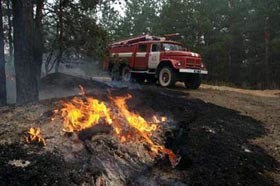 Сгорело девятьсот гектаров леса 