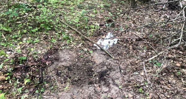 У Бучанському районі 65-річна жінка підірвалася на російській міні