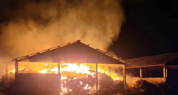 Війська РФ всю ніч атакували Дніпропетровщину. Постраждала дівчинка