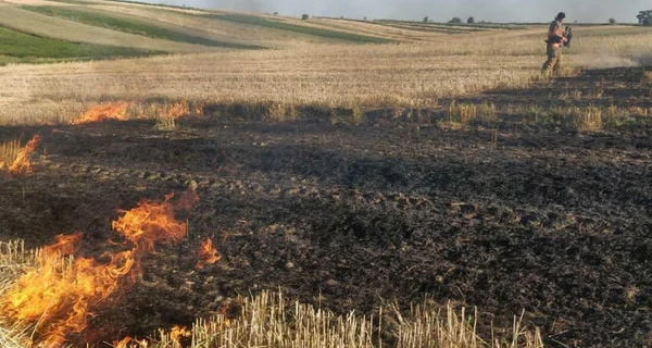 На Прикарпатье три человека погибли в горящей траве