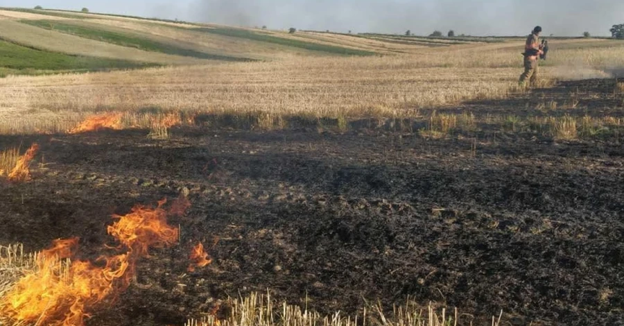На Прикарпатье три человека погибли в горящей траве