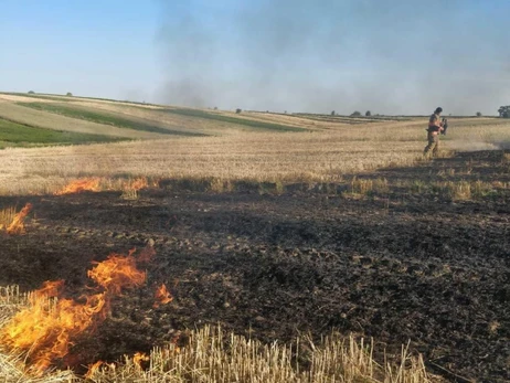 На Прикарпатье три человека погибли в горящей траве