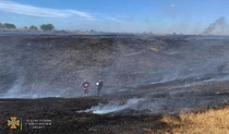 Обгоревшее поле в Николаевской области