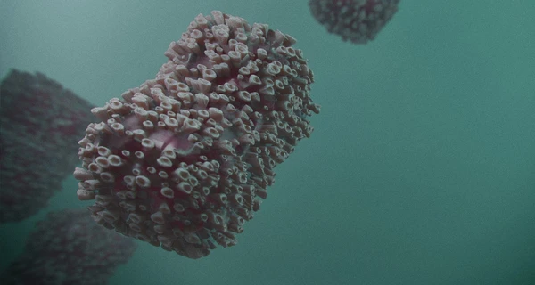 У Європі зафіксували першу смерть від мавпової віспи