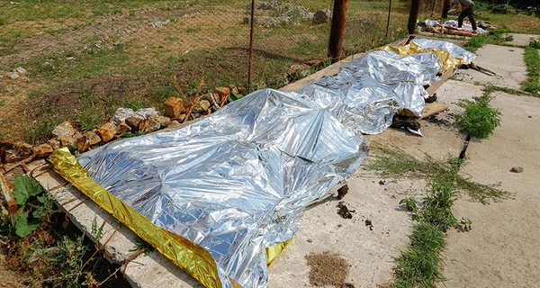 Лубінець: РФ погодилась віддати тіла загиблих в Оленівці