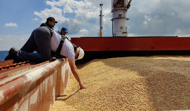 Українське зерно у Туреччині