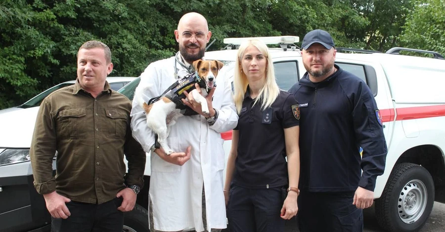 Пес Патрон прошел медобследование в ветеринарном госпитале Хмельницкой области