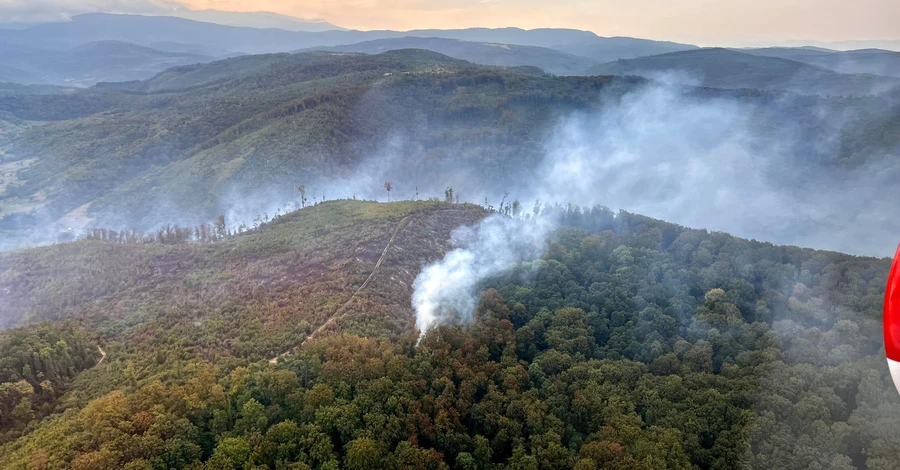 На Закарпатті спалахнула масштабна лісова пожежа, працює авіація