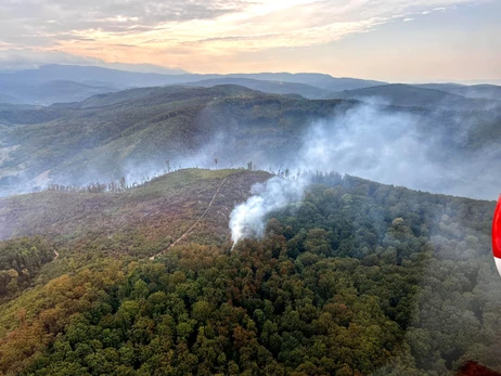 На Закарпатье вспыхнул масштабный лесной пожар, работает авиация