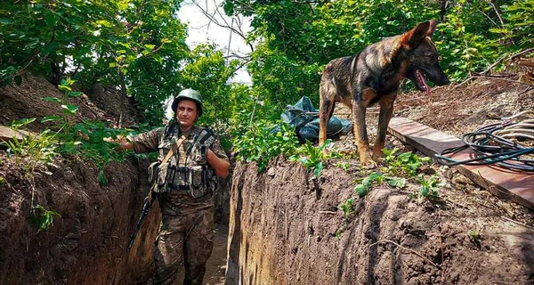 Генштаб: ЗСУ змусили росіян тікати неподалік Білогірки