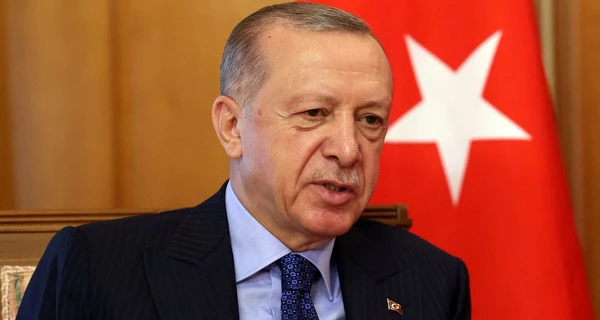 Эрдоган заявил, что намерен организовать встречу Зеленского с Путиным