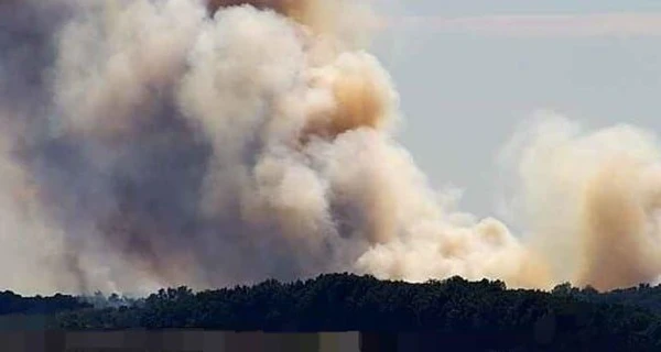 У Сумській області через обстріли росіян сталася лісова пожежа