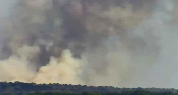 Живицький: Лісова пожежа на Сумщині зачепила і територію РФ