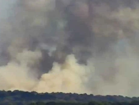 Живицький: Лісова пожежа на Сумщині зачепила і територію РФ