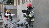 Спасение собаки в Харькове