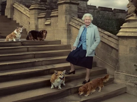 Четыре собаки Елизаветы II ищут новый дом