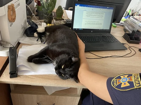 Власти Золотоноши наградили кота, живущего в пожарной части