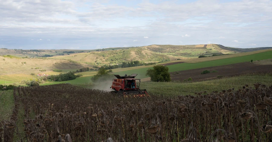 Изменение климата в Украине: пшеница не растет, фермеры переходят на экзотику