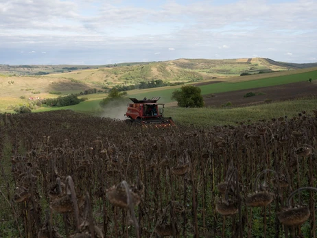 Зміна клімату в Україні: пшениця не росте, фермери переходять на екзотику