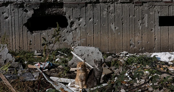 ООН: Жертвами російських військових стали більше 6 тисяч українців