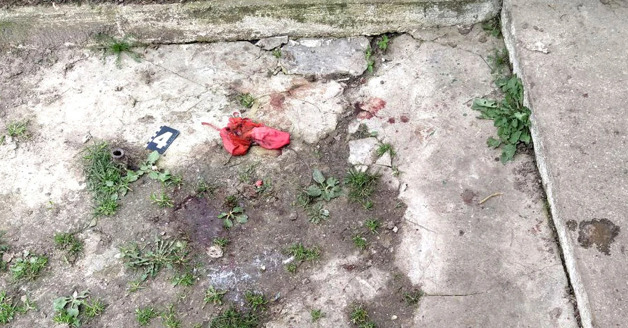 В Ровенской области собака загрызла насмерть младенца