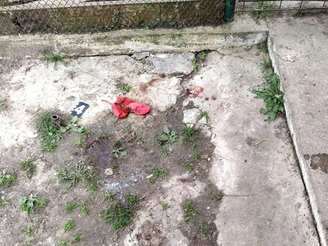 У Рівненській області собака загриз насмерть немовля