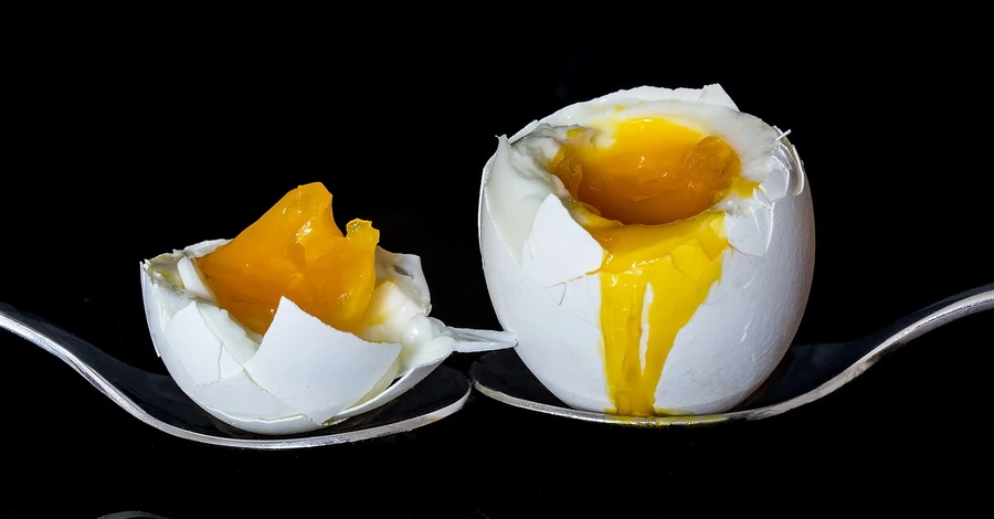 Антимонопольный комитет выясняет причины подорожания яиц на 54% за три месяца