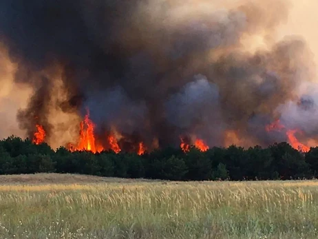 Еколог про пожежі на Кінбурнській косі: Відновлювати ліси тут немає сенсу