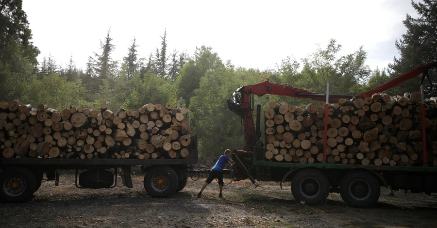 5 вопросов про «ДроваЄ»: зачем это нужно и сколько дров можно заказать